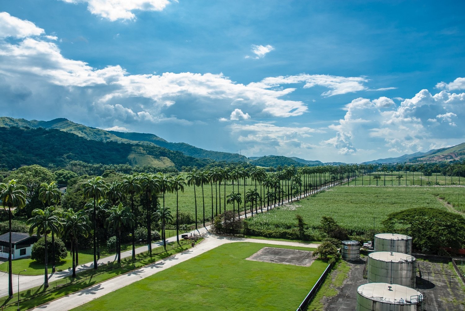 Santa Teresa | Svět nápojů